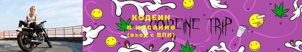 винт Аркадак