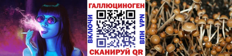 Галлюциногенные грибы Magic Shrooms  Малоархангельск 